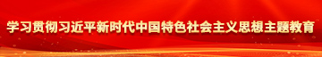 黄片操逼片学习贯彻习近平新时代中国特色社会主义思想主题教育